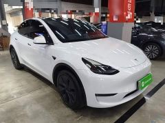 Tesla Model Y Long Range All-Wheel Drive - фото 3