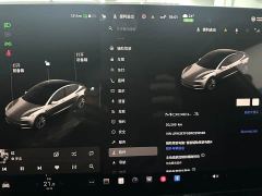 Tesla Model 3 Rear-Wheel Drive - ფოტო 3