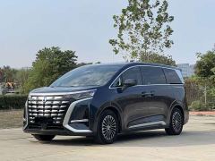 Denza D9 DM-i 970 AWD Premium Edition - photo 1