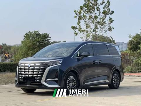 2023 Denza D9 DM-i 970 AWD Premium Edition