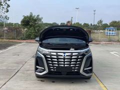 Denza D9 DM-i 970 AWD Premium Edition - photo 8