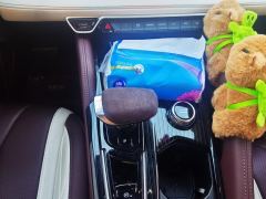 Geely Xingyue L 2.0T Automatic two-wheel drive Yunqi Edition - photo 19