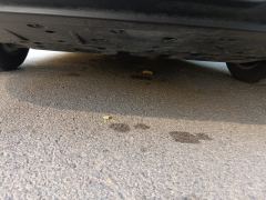 XPeng P7 P7i 702 Rear-wheel drive Pro - photo 9
