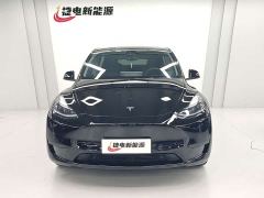 Tesla Model Y Rear-Wheel Drive - ფოტო 3
