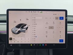Tesla Model Y Rear-Wheel Drive - ფოტო 9