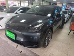 Tesla Model Y Rear-Wheel Drive - ფოტო 1