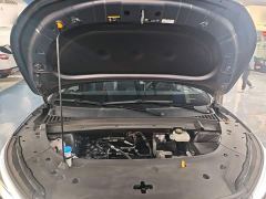 BYD Yuan Plus Glory Edition 510KM Leading - ფოტო 19
