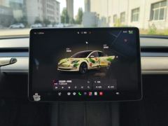 Tesla Model 3 556km Rear-Wheel Drive Edition - ფოტო 17