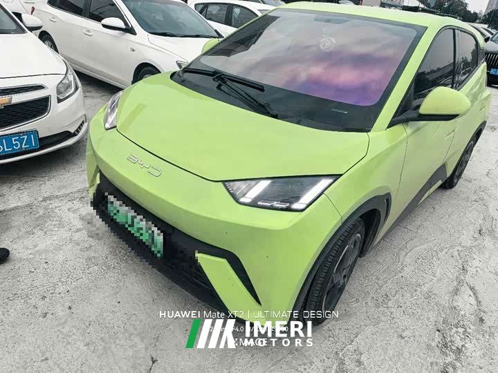 BYD Seagull Glory Edition 305km Freedom Version - ავტომობილი ჩინეთიდან