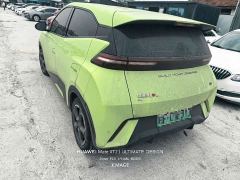BYD Seagull Glory Edition 305km Freedom Version - ფოტო 6