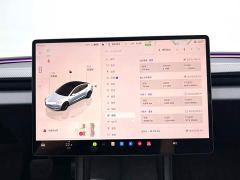 Tesla Model 3 Rear-Wheel Drive - фото 13