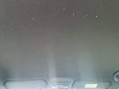 BYD Seagull Freedom Edition - photo 17