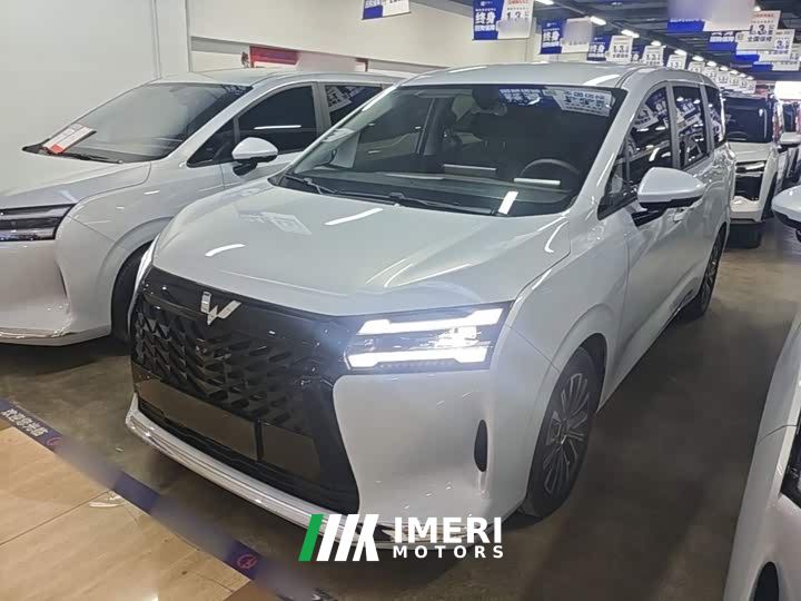 Wuling Starlight 730 New Energy PHEV 125km Luxury