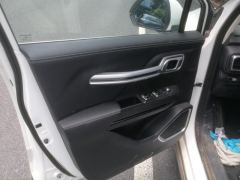 Geely Radar Horizon EV 550km Maker Edition - ფოტო 12