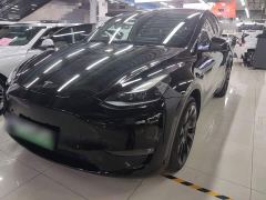 Tesla Model Y Standard Range RWD - photo 1
