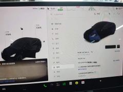 Tesla Model Y Standard Range RWD - photo 11
