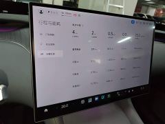 Xiaomi YU7 Four-Wheel Drive Pro - ფოტო 11