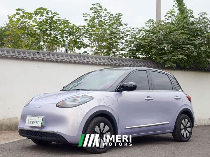 Wuling Binguo 333km Lingxi Premium Edition