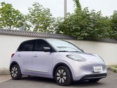 Wuling Binguo 333km Lingxi Premium Edition - ფოტო 3