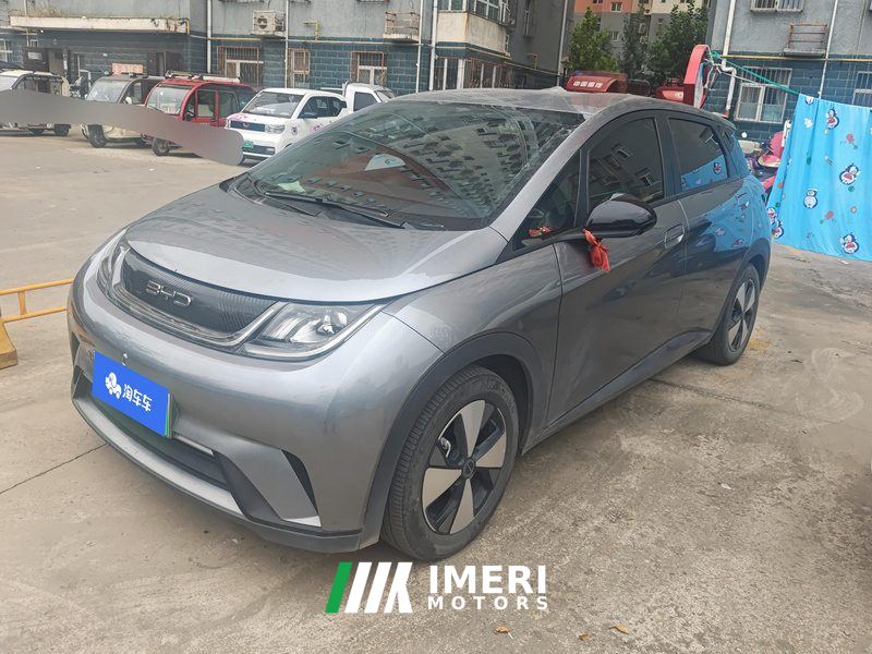 BYD Dolphin 420km Free Version - ავტომობილი ჩინეთიდან