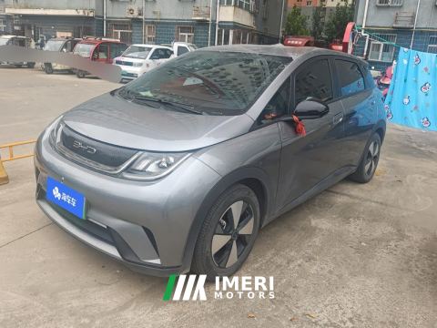 2023 BYD Dolphin 420km Free Version - car from China