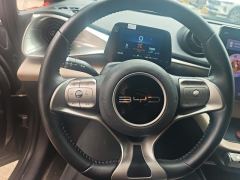 BYD Dolphin 420km Free Version - ფოტო 18