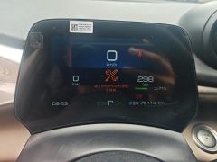 BYD Dolphin 420km Free Version - ფოტო 20
