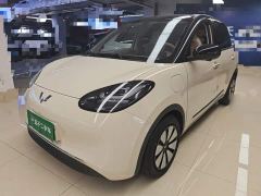 Wuling Binguo 333km Lingxi Premium Edition - ფოტო 1