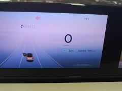 Wuling Binguo 333km Lingxi Premium Edition - ფოტო 11