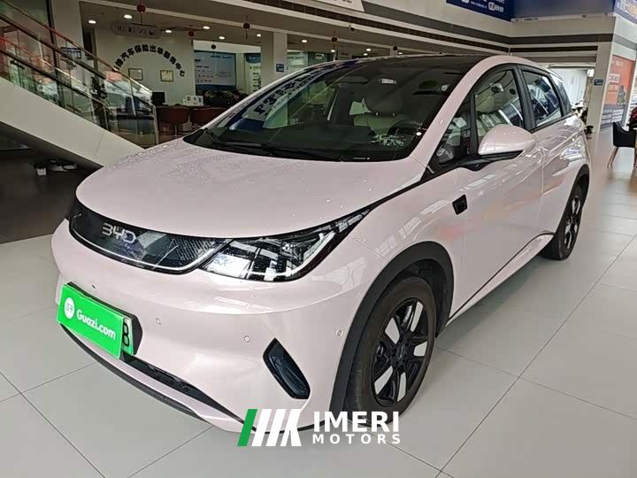 BYD Dolphin Smart Drive 410km Fashion Edition