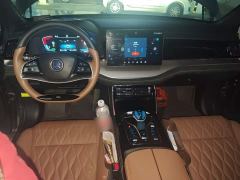 BYD Yuan Plus DM-i 112KM Premium Edition - ფოტო 10