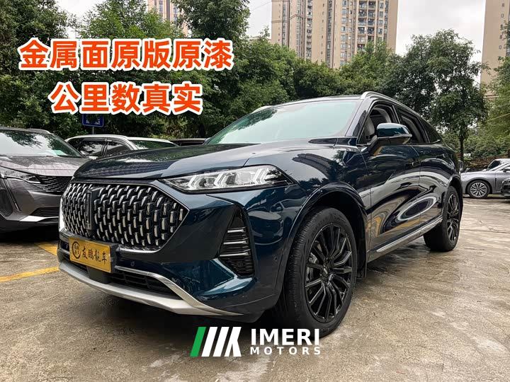 Great Wall Wei Brand Mocha 2.0T Two-Wheel Drive Rich Edition