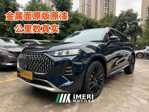 2022 WEY Mocha 2.0T Two-Wheel Drive Rich Edition