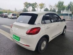 Wuling Binguo 333km Joy Edition - ფოტო 6