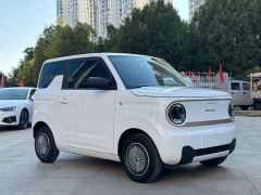 Geely Panda Mini 200km Dragon Ascend Edition - ფოტო 3
