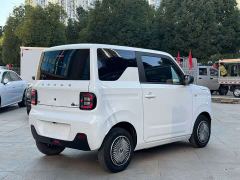 Geely Panda Mini 200km Dragon Ascend Edition - ფოტო 9