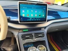 BYD Qin Plus DM-i 120KM Luxury - ფოტო 9