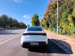 Tesla Model Y Rear-Wheel Drive Launch Edition - фото 5