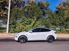 Tesla Model Y Rear-Wheel Drive Launch Edition - фото 7
