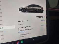 Tesla Model 3 Rear-Wheel Drive - ფოტო 11