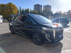 Hongqi HQ9 2.0T Smart Connected Premium Edition - photo 2