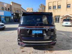 Hongqi HQ9 2.0T Smart Connected Premium Edition - photo 9