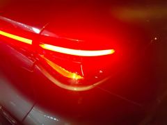 Oshan X5 PLUS 1.5T Elite Edition - фото 5