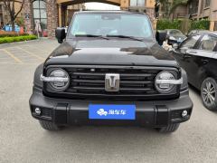 Tank 300 Off-Road Edition 2.0T Conqueror - photo 3