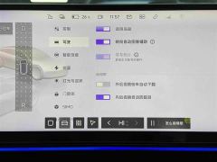 Jiyue 07 Long Range Edition - ფოტო 16