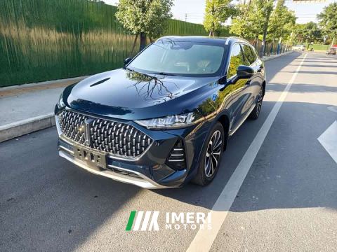 2021 Great Wall Wei Brand Mocha 2.0T AWD Premium Edition - ავტომობილი ჩინეთიდან