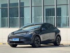 Tesla Model Y Rear-Wheel Drive - фото 3