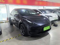 Tesla Model Y Rear-Wheel Drive - ფოტო 3