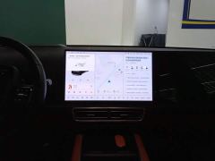 Li Auto L9 Max - ფოტო 13