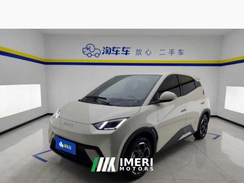 BYD Seagull 305km Free Version